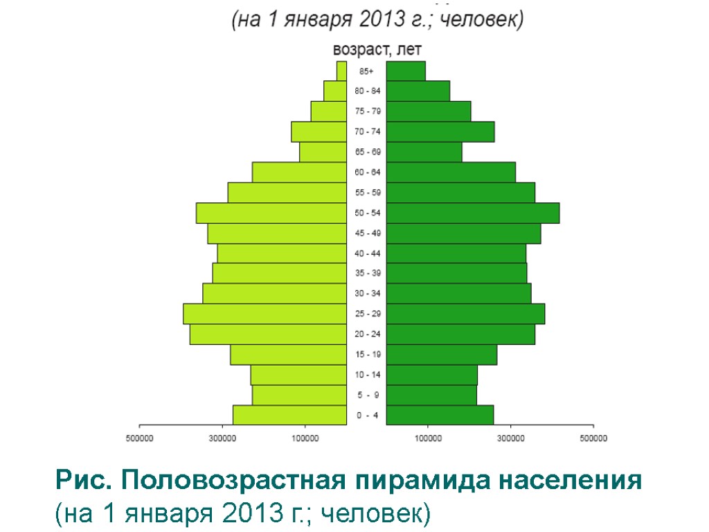 Рис. Половозрастная пирамида населения (на 1 января 2013 г.; человек)